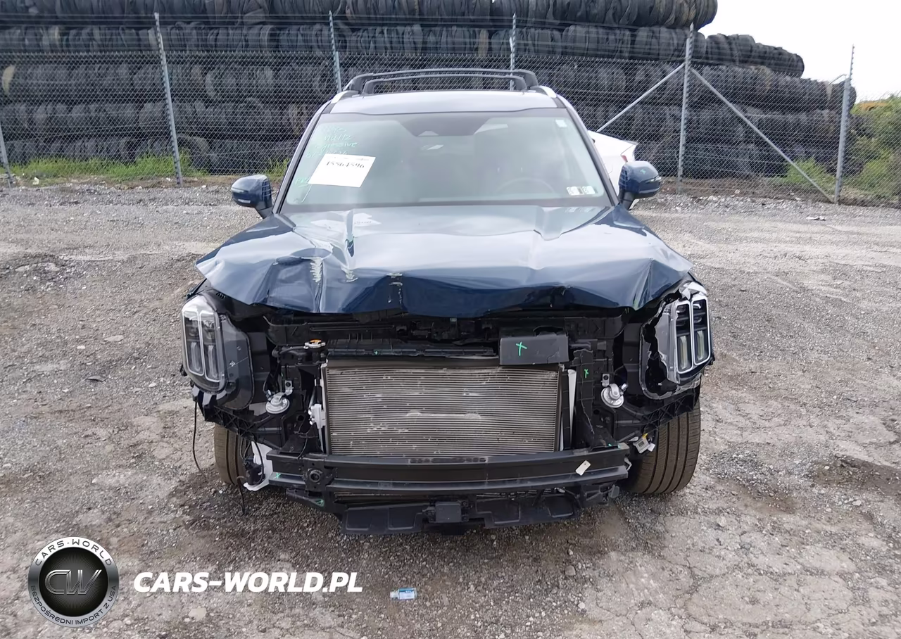 2024 Kia Telluride S VIN:5XYP6DGC4RG551446 - 12