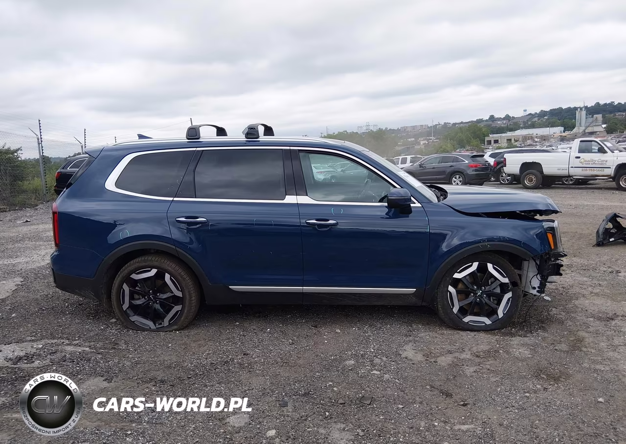 2024 Kia Telluride S VIN:5XYP6DGC4RG551446 - 13