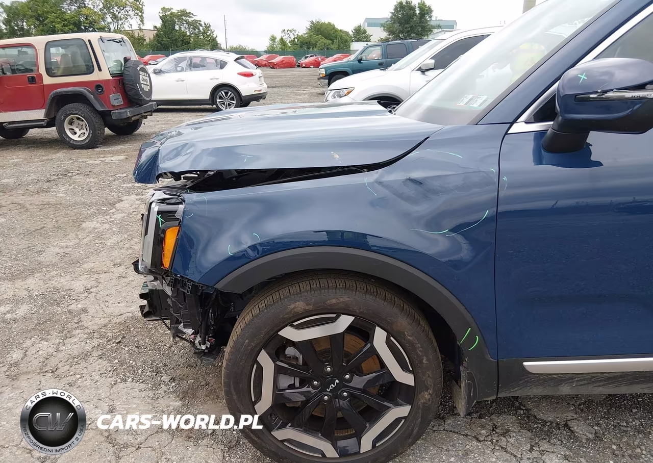 2024 Kia Telluride S VIN:5XYP6DGC4RG551446 - 6