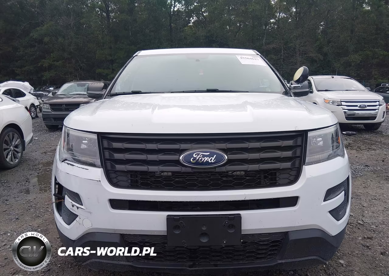 2018 Ford Police Interceptor Utility VIN:1FM5K8AR7JGA44254 - 12