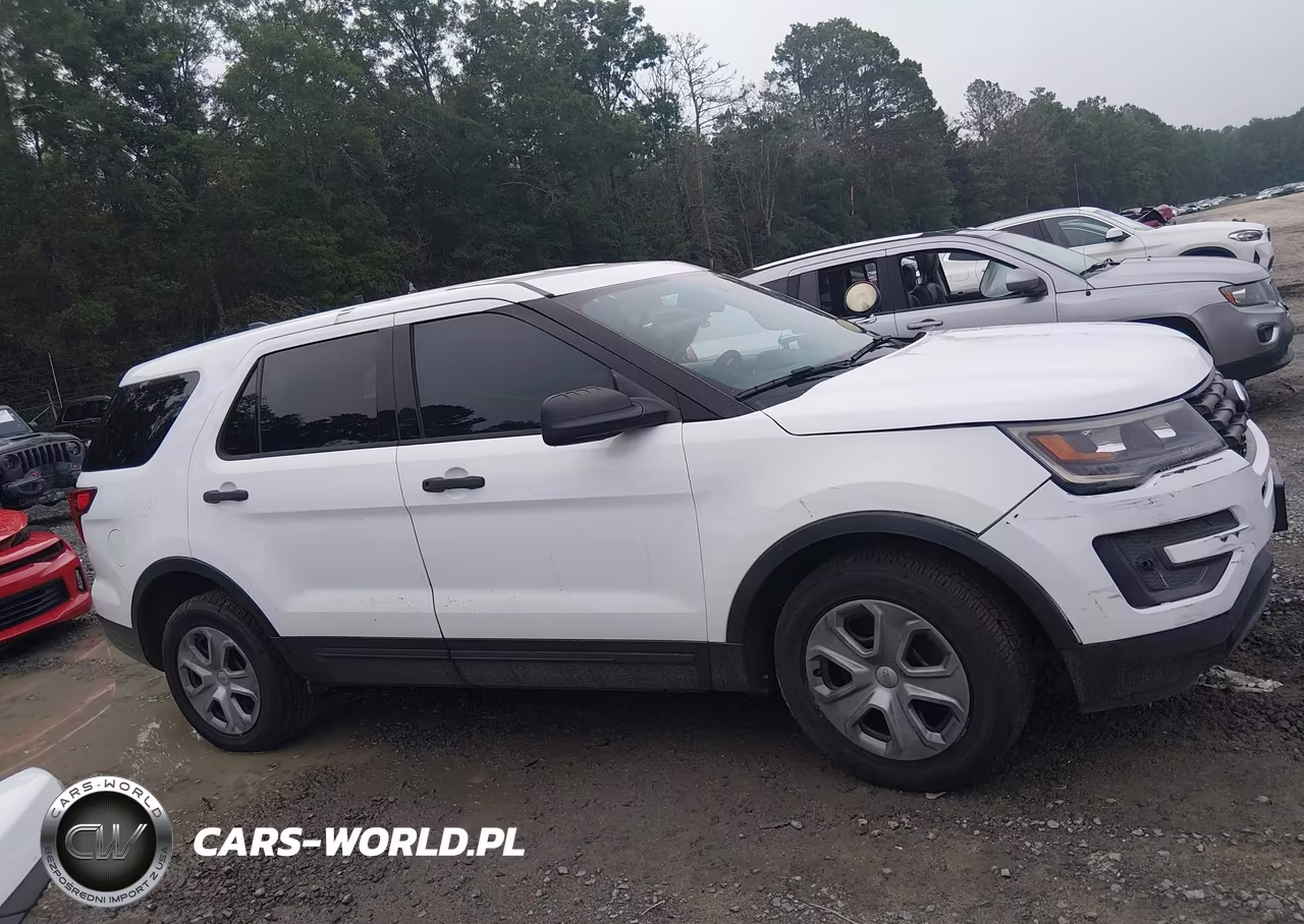 2018 Ford Police Interceptor Utility VIN:1FM5K8AR7JGA44254 - 13