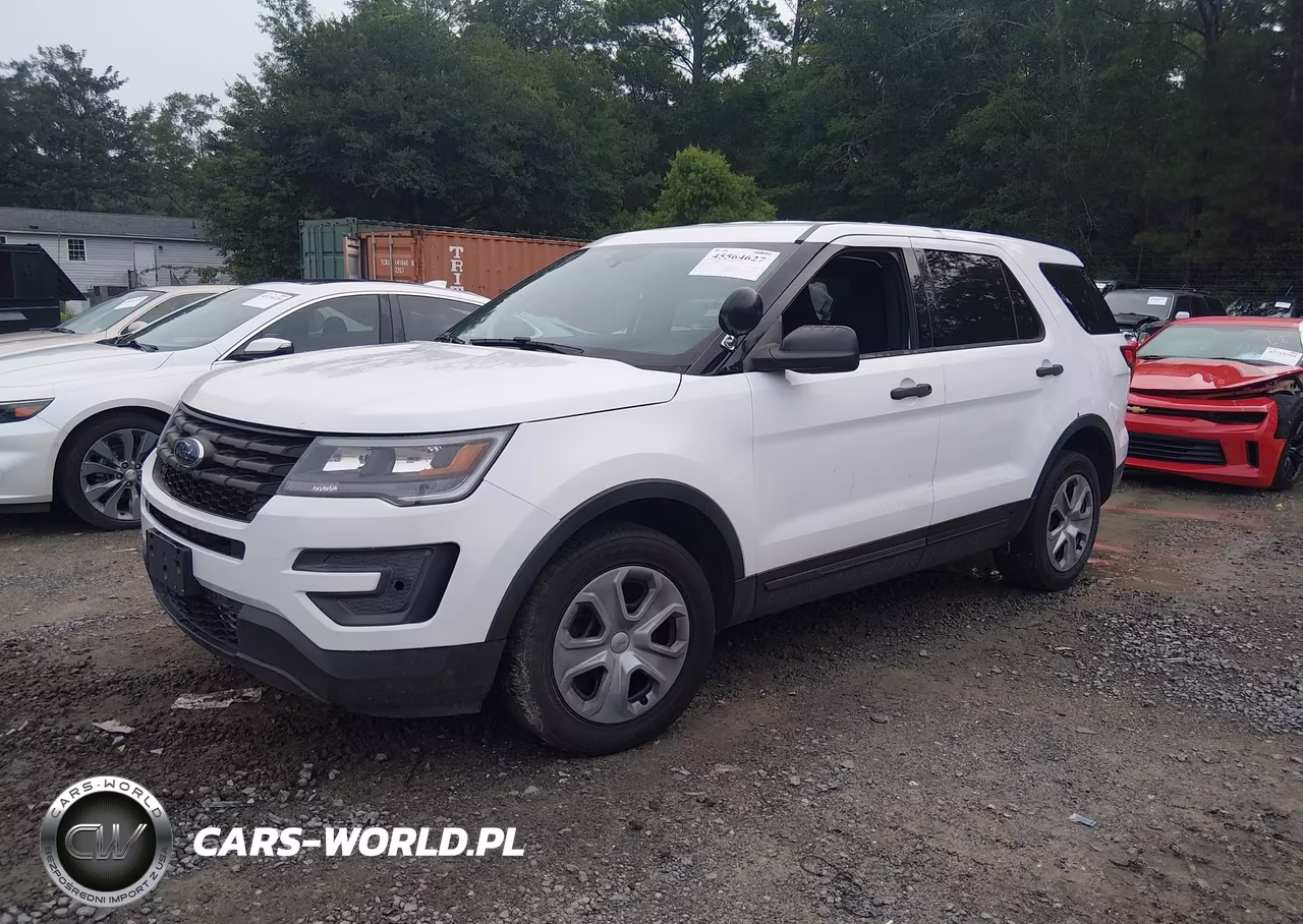 2018 Ford Police Interceptor Utility VIN:1FM5K8AR7JGA44254 - 2