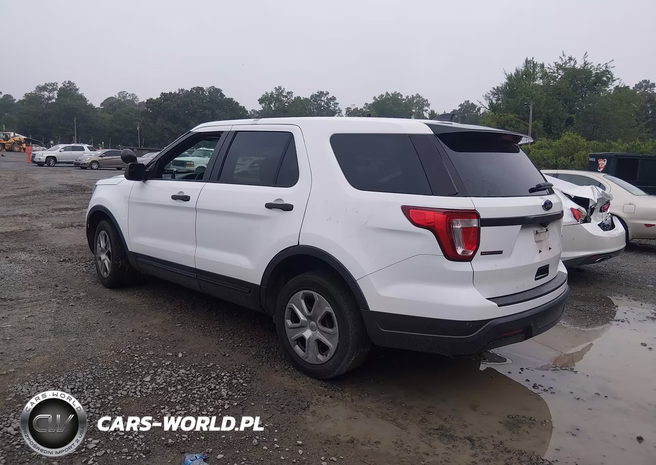 2018 Ford Police Interceptor Utility VIN:1FM5K8AR7JGA44254 - 3