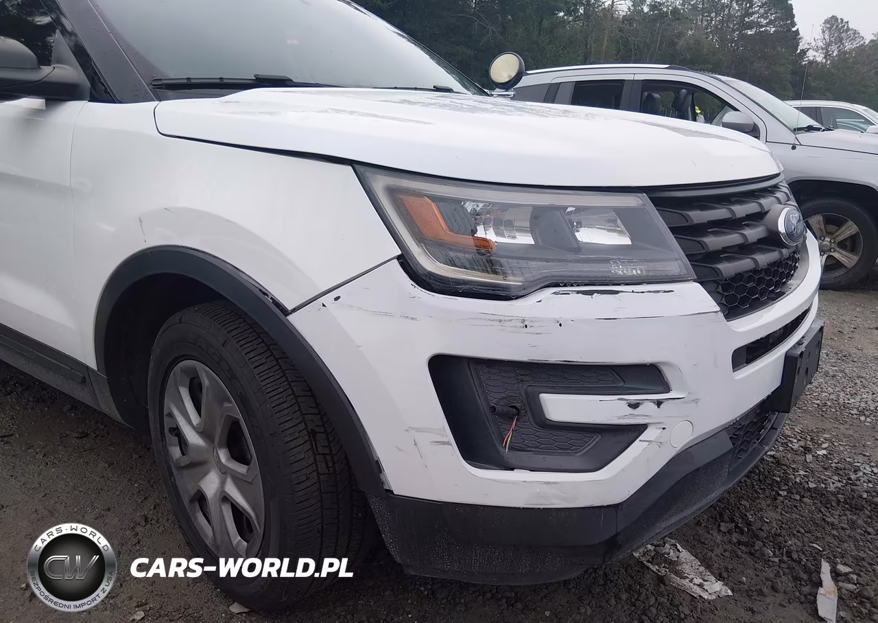 2018 Ford Police Interceptor Utility VIN:1FM5K8AR7JGA44254 - 6