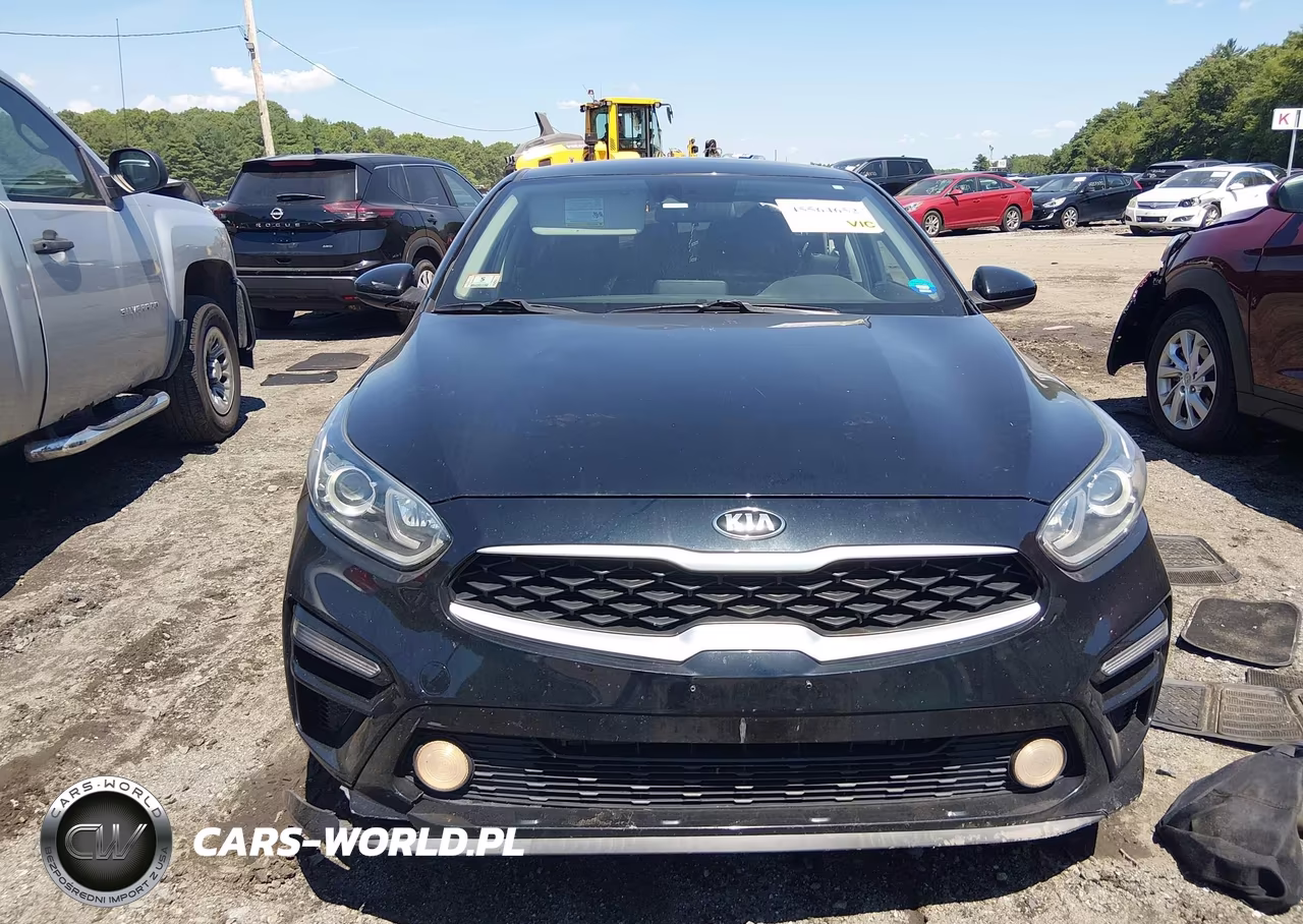 2019 Kia Forte Lxs VIN:3KPF24AD3KE102500 - 12