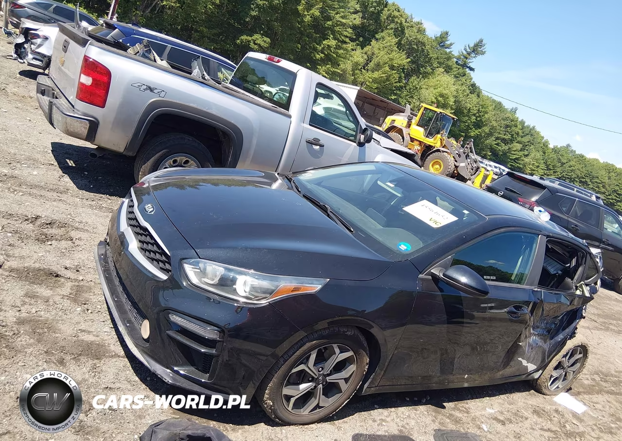 2019 Kia Forte Lxs VIN:3KPF24AD3KE102500 - 2