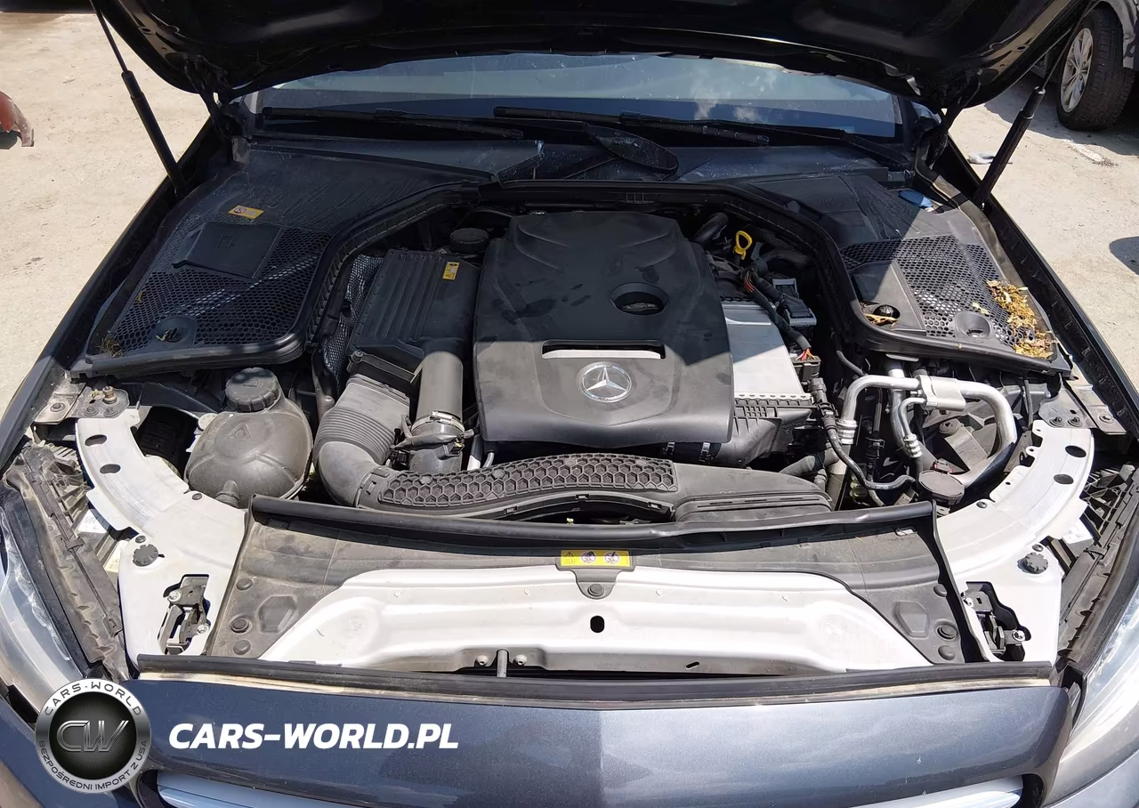 2016 Mercedes-Benz C 300 VIN:55SWF4JB3GU154437 - 10