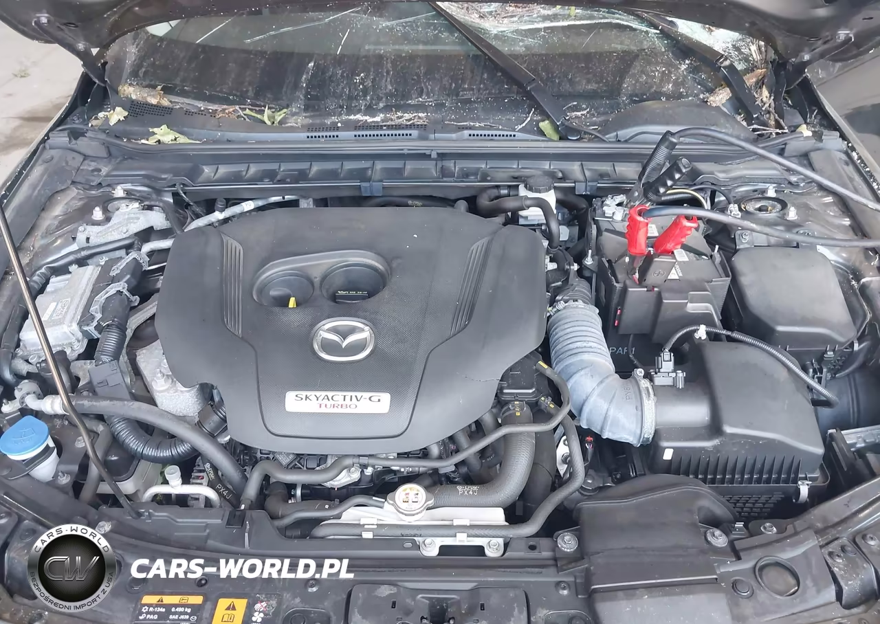 2021 Mazda Mazda3 2.5 Turbo VIN:JM1BPBAY3M1311085 - 10