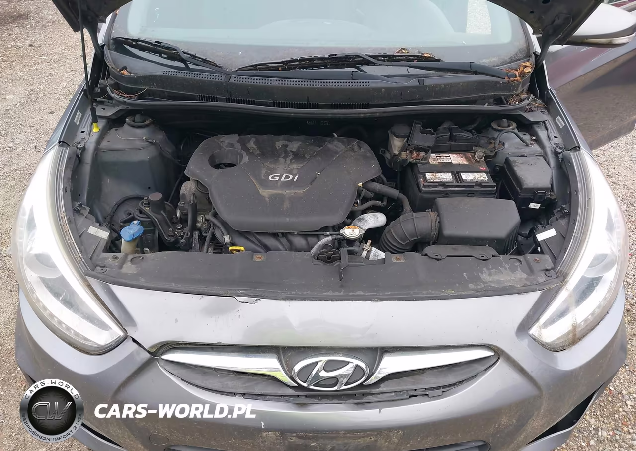 2014 Hyundai Accent Se VIN:KMHCU5AE4EU188879 - 10