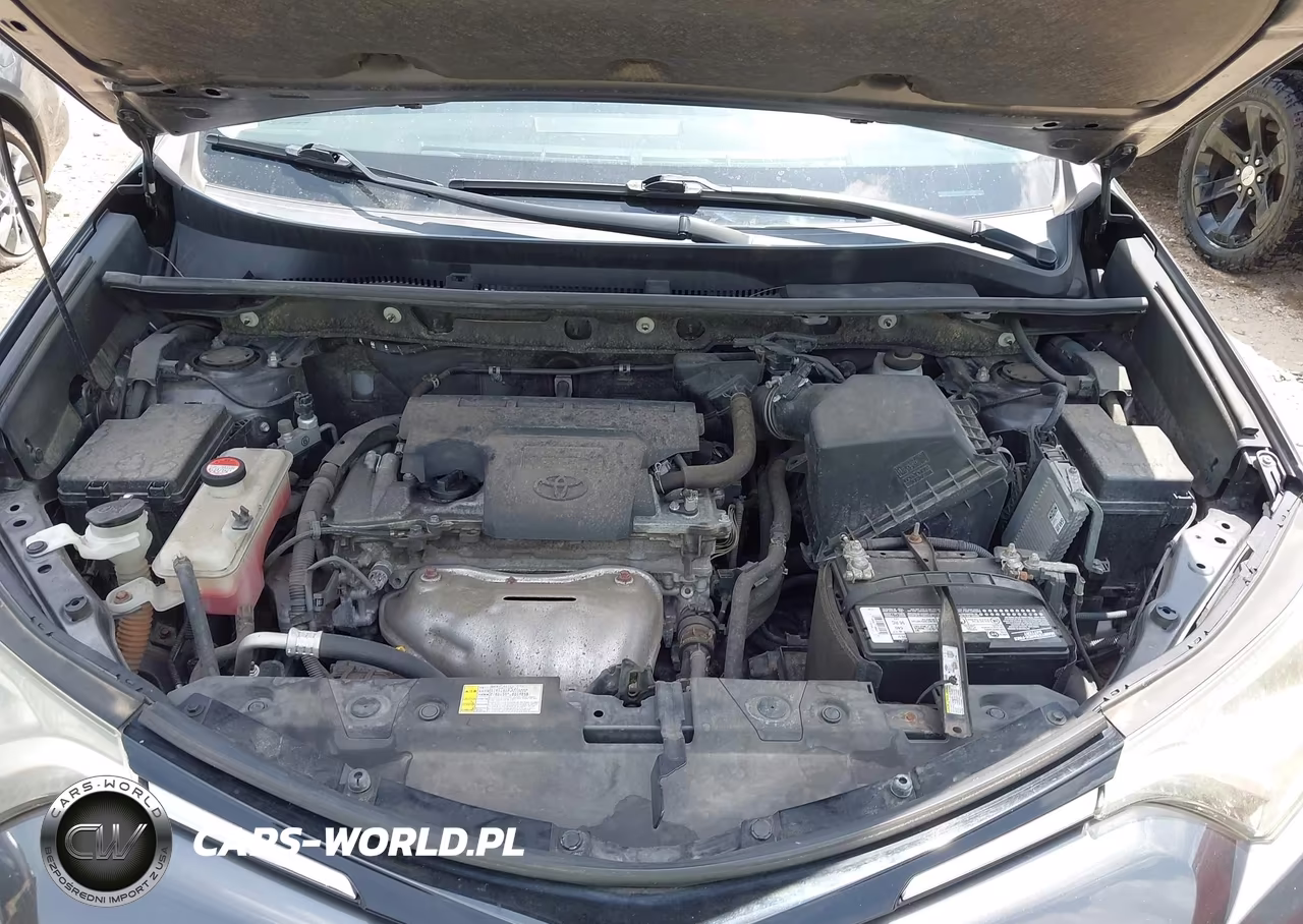 2016 Toyota Rav4 Xle VIN:JTMWFREV0GJ062715 - 10