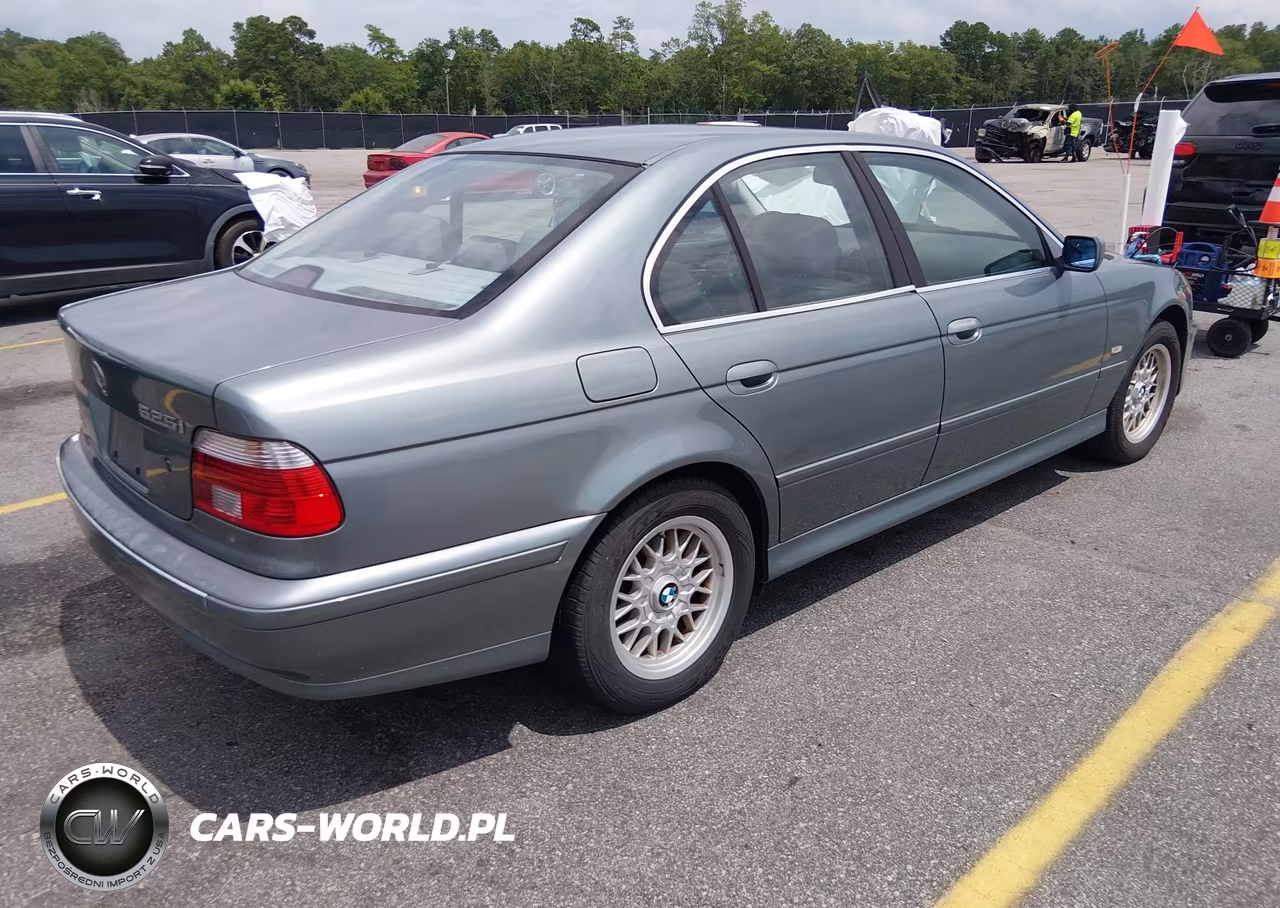 2002 BMW 5 Series 525I VIN:WBADT33422GF42476 - 4