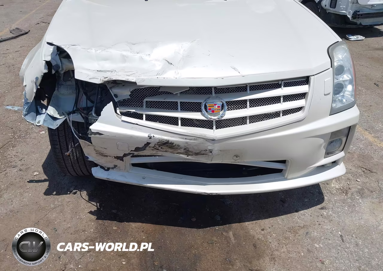 2008 Cadillac Srx Rwd VIN:1GYEE637980112885 - 6