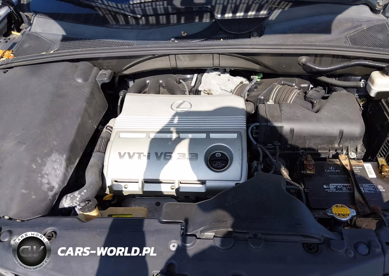 2005 Lexus Rx 330 VIN:2T2GA31U85C036090 - 10