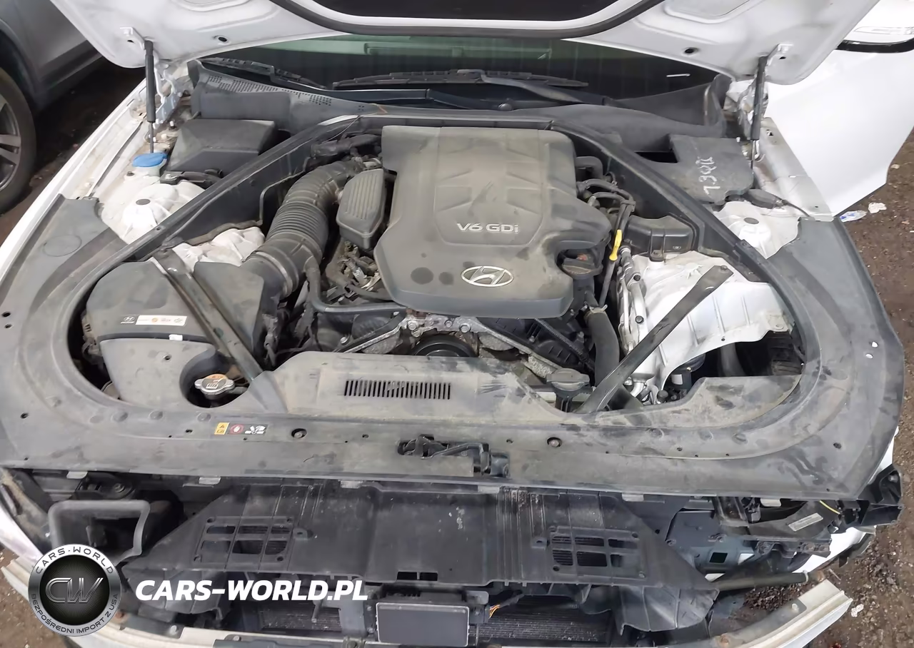 2016 Hyundai Genesis 3.8 VIN:KMHGN4JE6GU132969 - 10