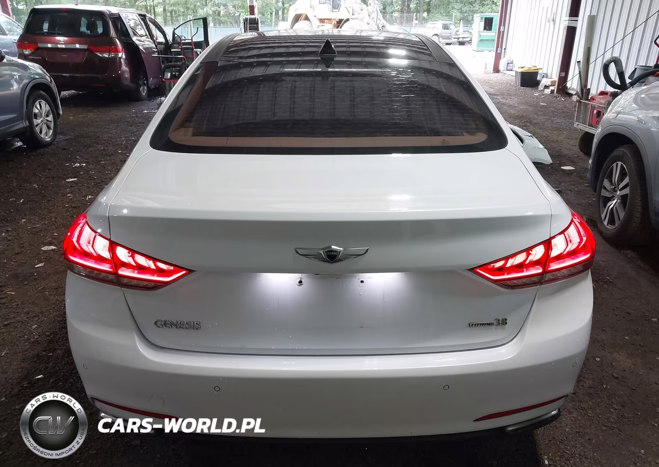 2016 Hyundai Genesis 3.8 VIN:KMHGN4JE6GU132969 - 17