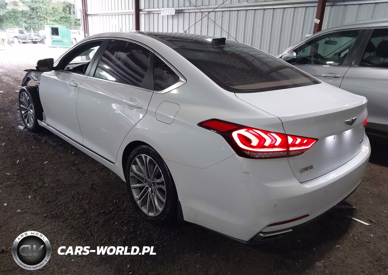 2016 Hyundai Genesis 3.8 VIN:KMHGN4JE6GU132969 - 3