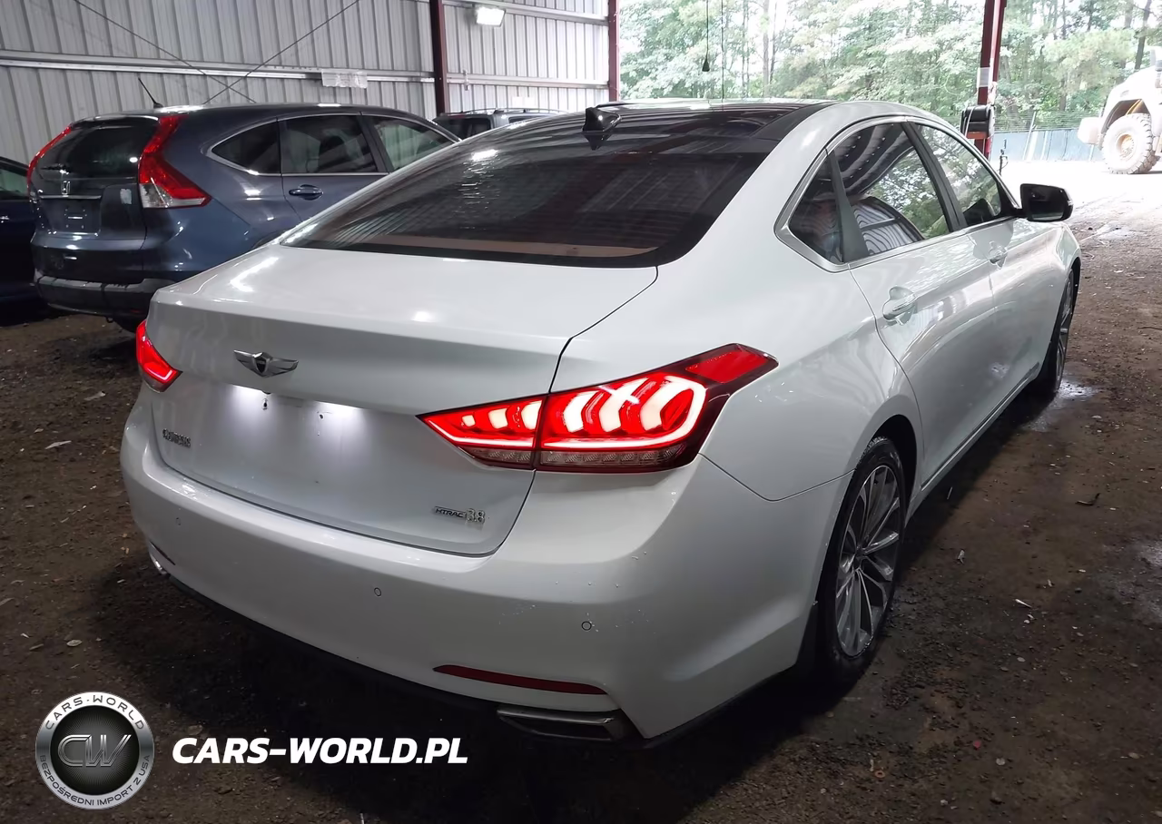 2016 Hyundai Genesis 3.8 VIN:KMHGN4JE6GU132969 - 4