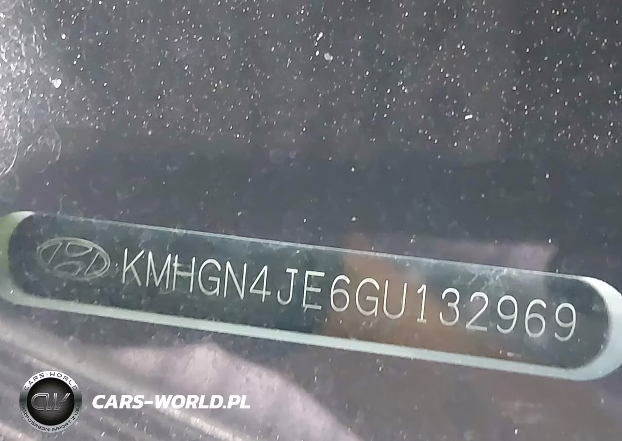 2016 Hyundai Genesis 3.8 VIN:KMHGN4JE6GU132969 - 9