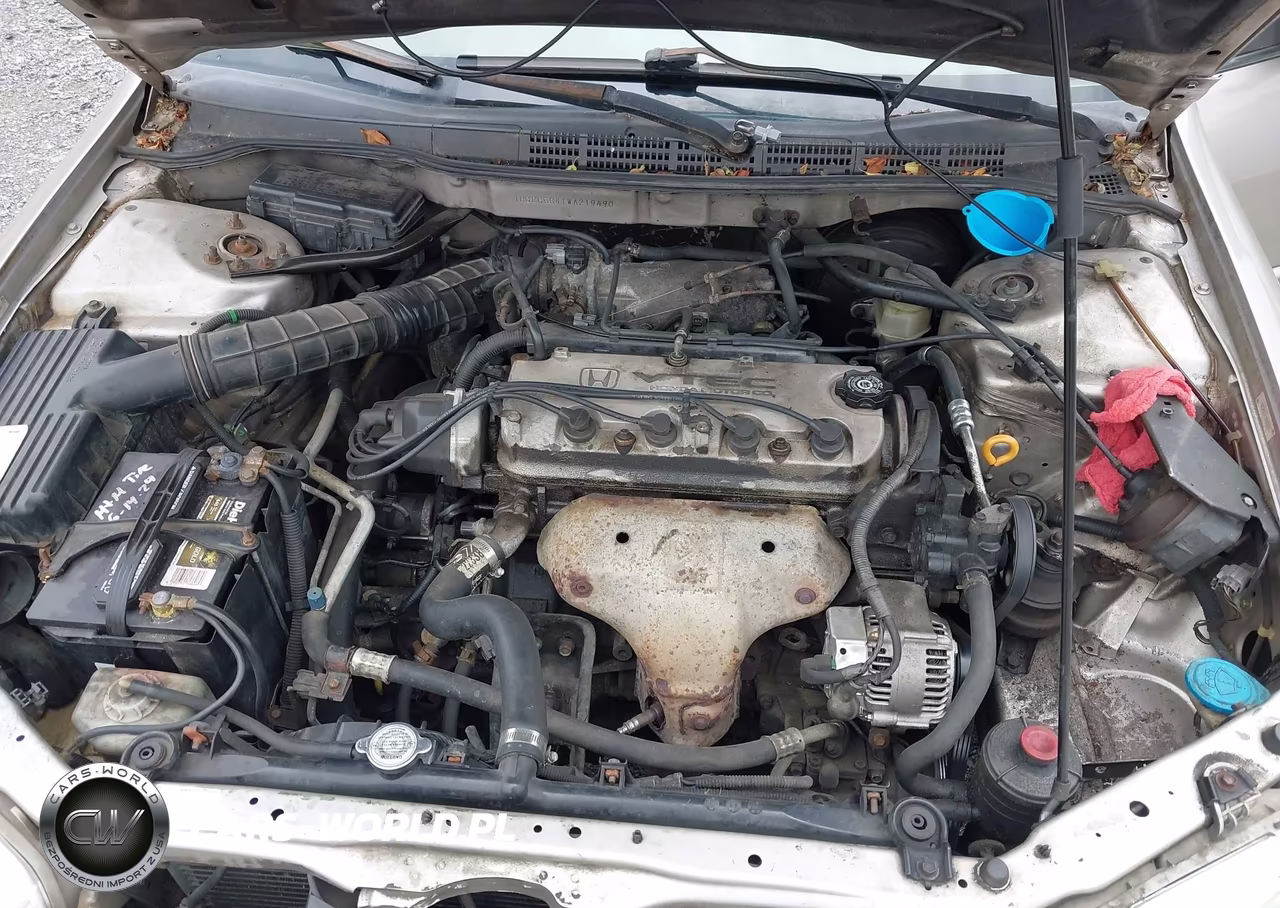 1998 Honda Accord Lx VIN:1HGCG5641WA219490 - 10
