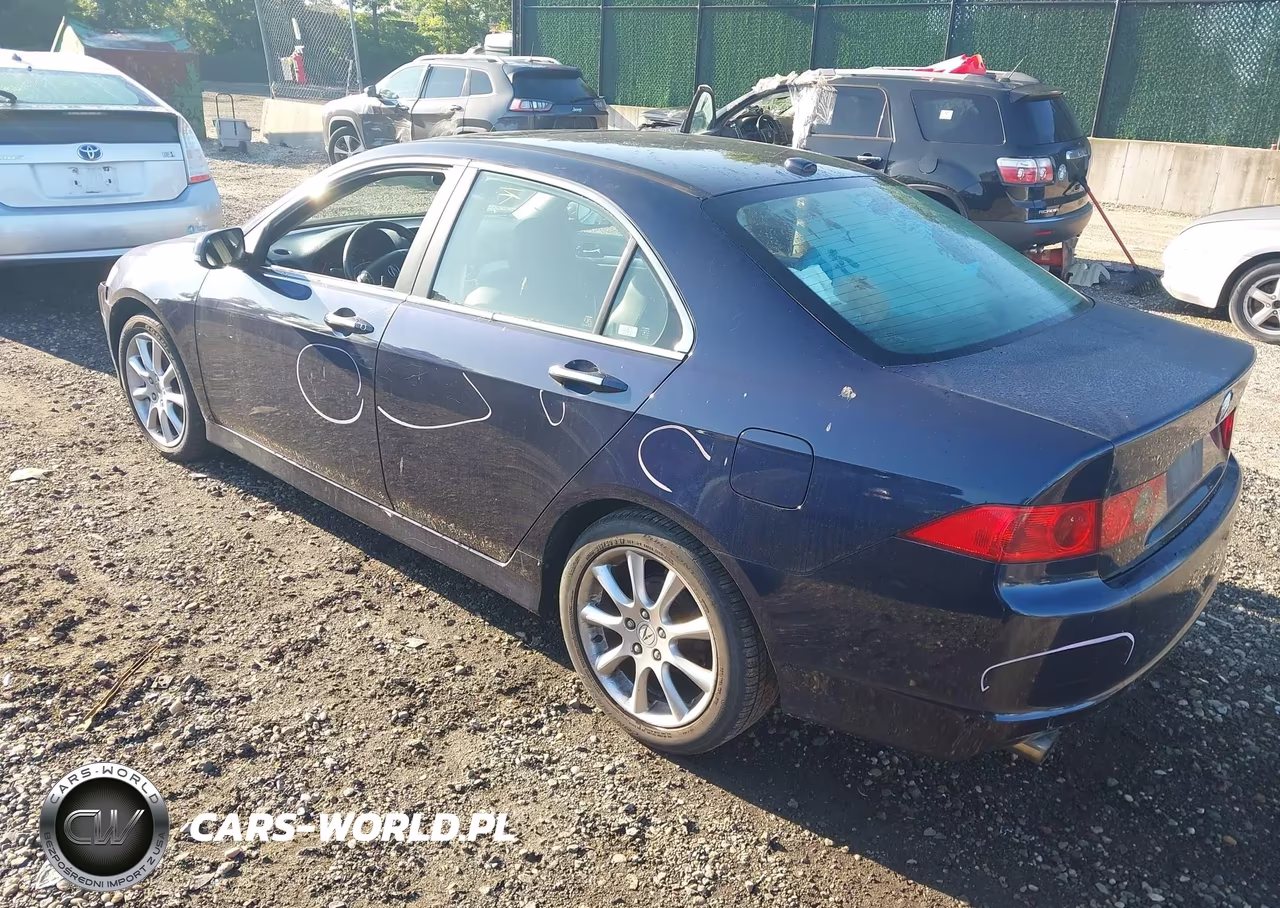 2006 Acura Tsx VIN:JH4CL96876C027398 - 3