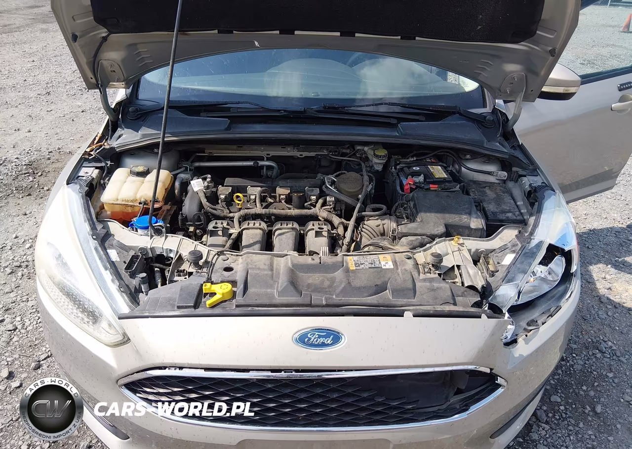 2016 Ford Focus Se VIN:1FADP3K21GL256904 - 10
