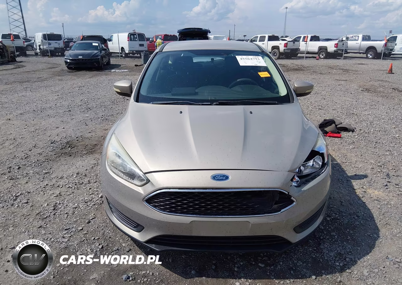 2016 Ford Focus Se VIN:1FADP3K21GL256904 - 12