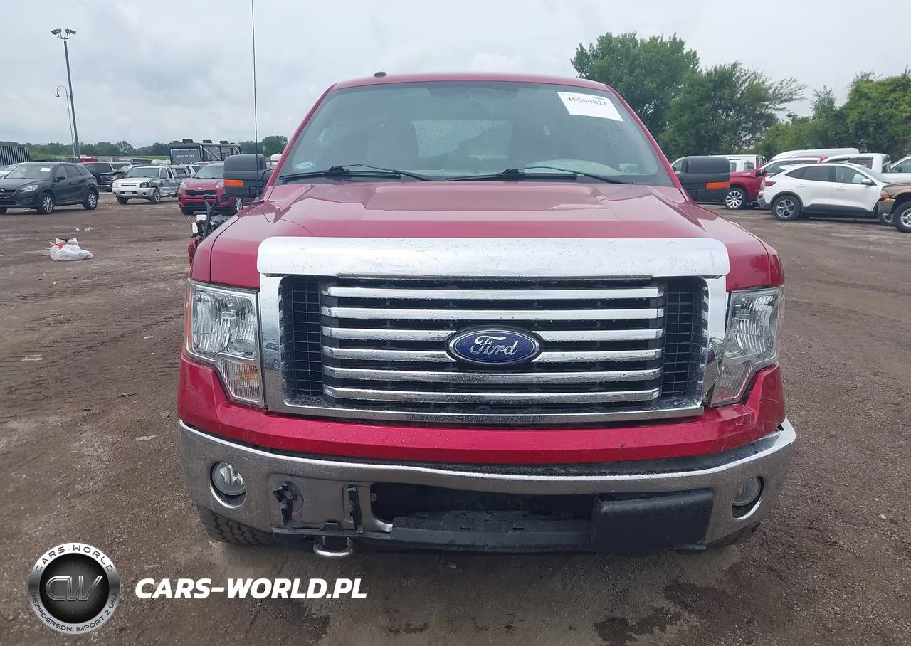2010 Ford F-150 Fx4-Harley-Davidson-King Ranch-Lariat-Platinum-Xl-Xlt VIN:1FTFW1EV7AKC19644 - 13