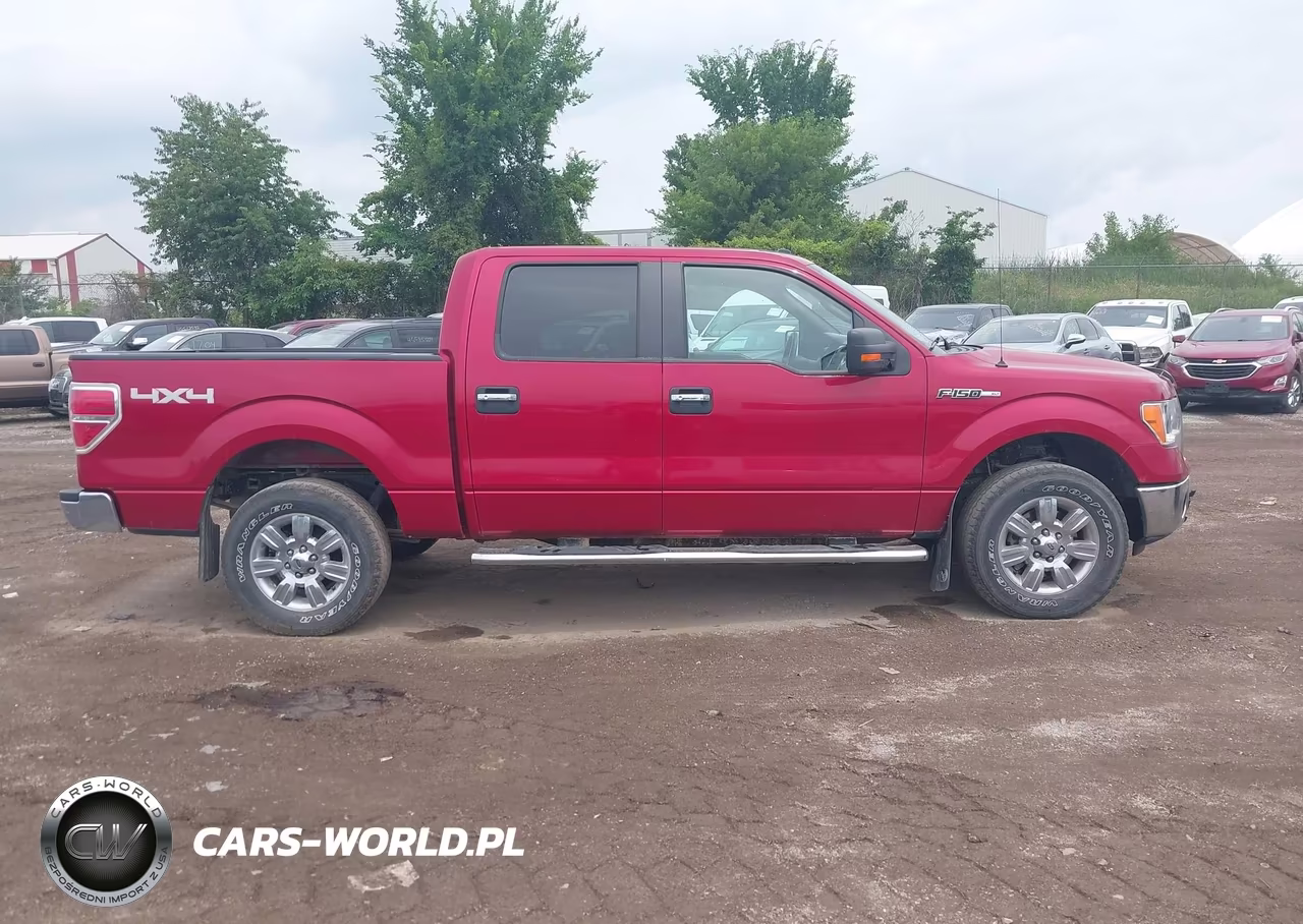 2010 Ford F-150 Fx4-Harley-Davidson-King Ranch-Lariat-Platinum-Xl-Xlt VIN:1FTFW1EV7AKC19644 - 14