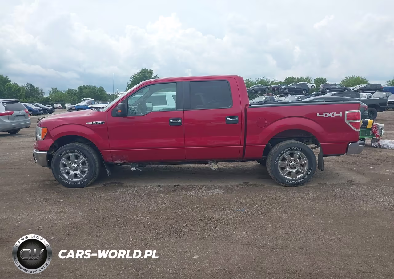 2010 Ford F-150 Fx4-Harley-Davidson-King Ranch-Lariat-Platinum-Xl-Xlt VIN:1FTFW1EV7AKC19644 - 15