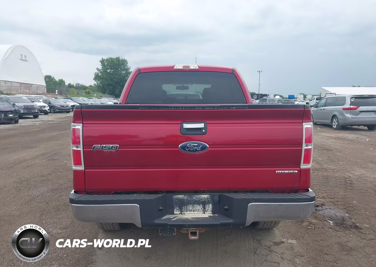 2010 Ford F-150 Fx4-Harley-Davidson-King Ranch-Lariat-Platinum-Xl-Xlt VIN:1FTFW1EV7AKC19644 - 17
