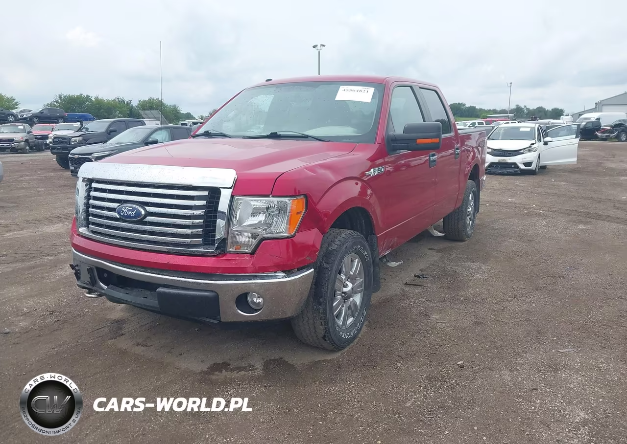 2010 Ford F-150 Fx4-Harley-Davidson-King Ranch-Lariat-Platinum-Xl-Xlt VIN:1FTFW1EV7AKC19644 - 2