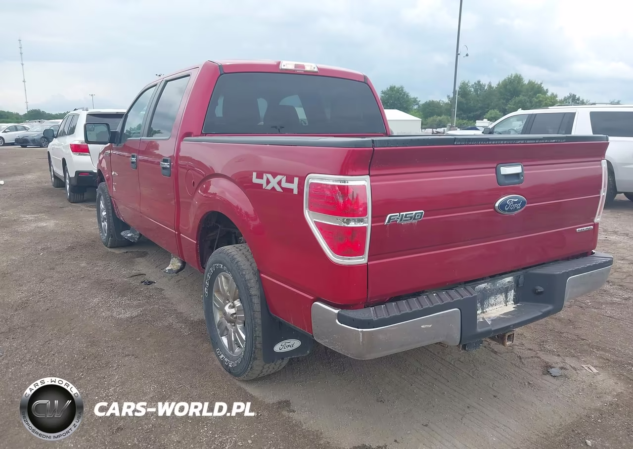 2010 Ford F-150 Fx4-Harley-Davidson-King Ranch-Lariat-Platinum-Xl-Xlt VIN:1FTFW1EV7AKC19644 - 3