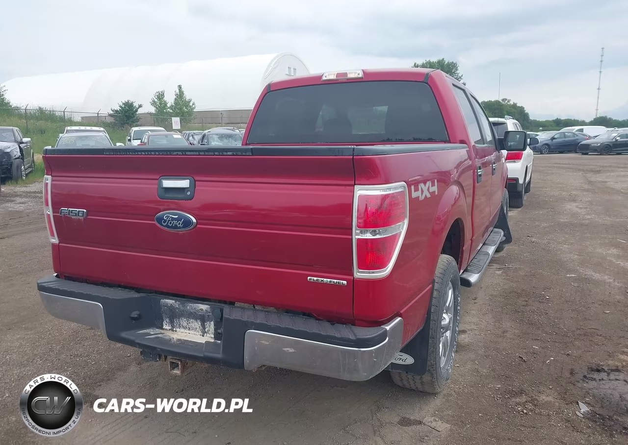 2010 Ford F-150 Fx4-Harley-Davidson-King Ranch-Lariat-Platinum-Xl-Xlt VIN:1FTFW1EV7AKC19644 - 4