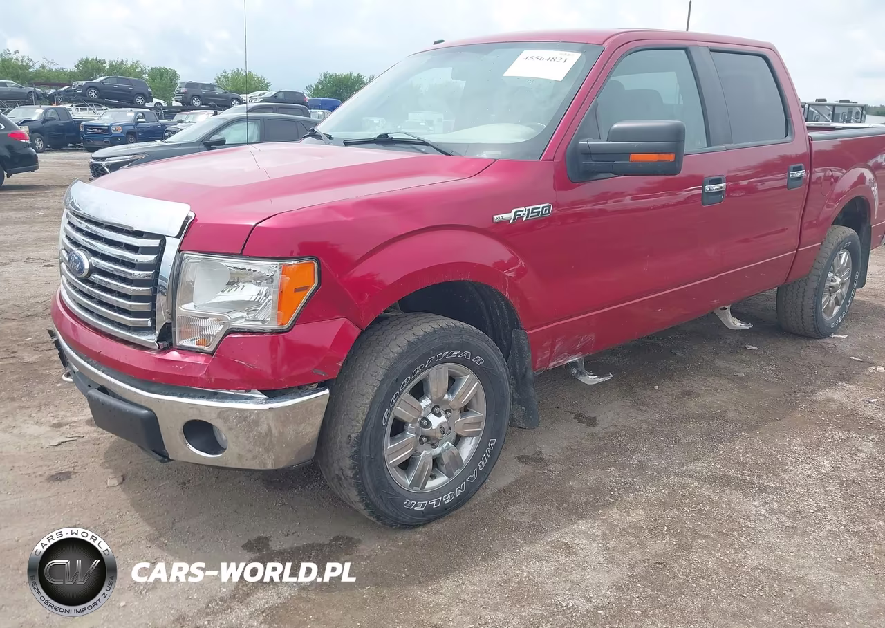 2010 Ford F-150 Fx4-Harley-Davidson-King Ranch-Lariat-Platinum-Xl-Xlt VIN:1FTFW1EV7AKC19644 - 6