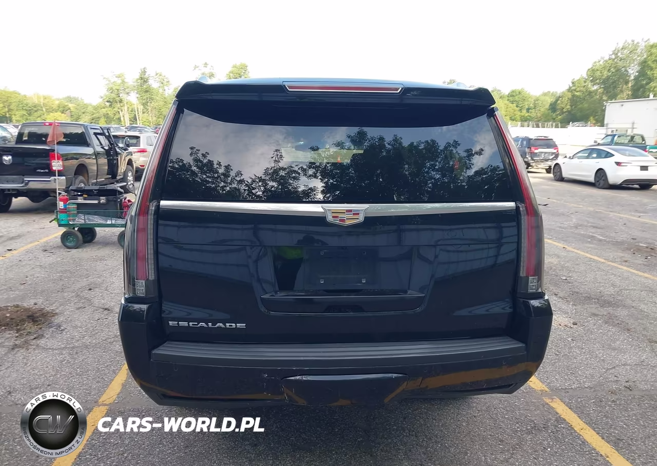 2016 Cadillac Escalade Esv Standard VIN:1GYS4GKJ0GR101602 - 16