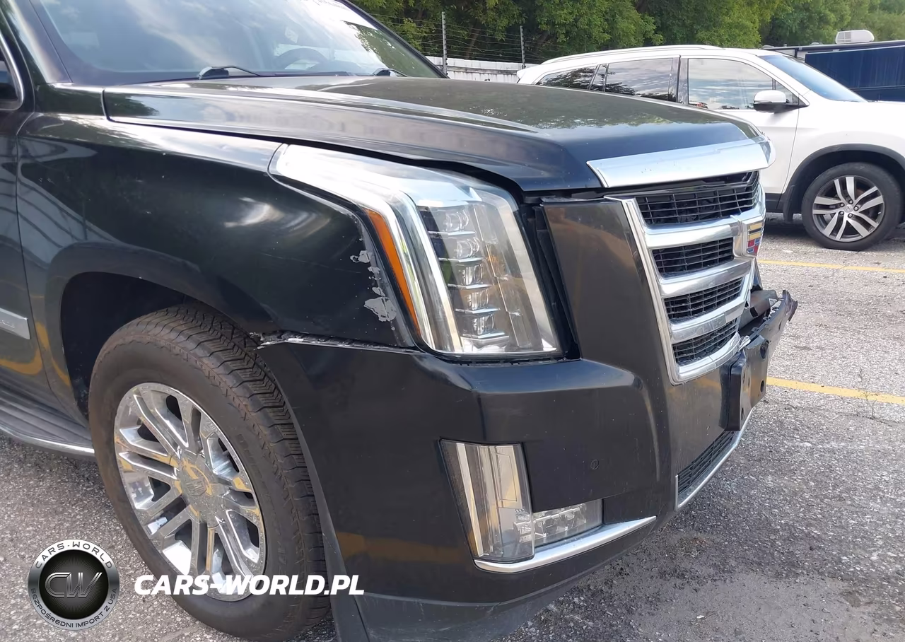 2016 Cadillac Escalade Esv Standard VIN:1GYS4GKJ0GR101602 - 18
