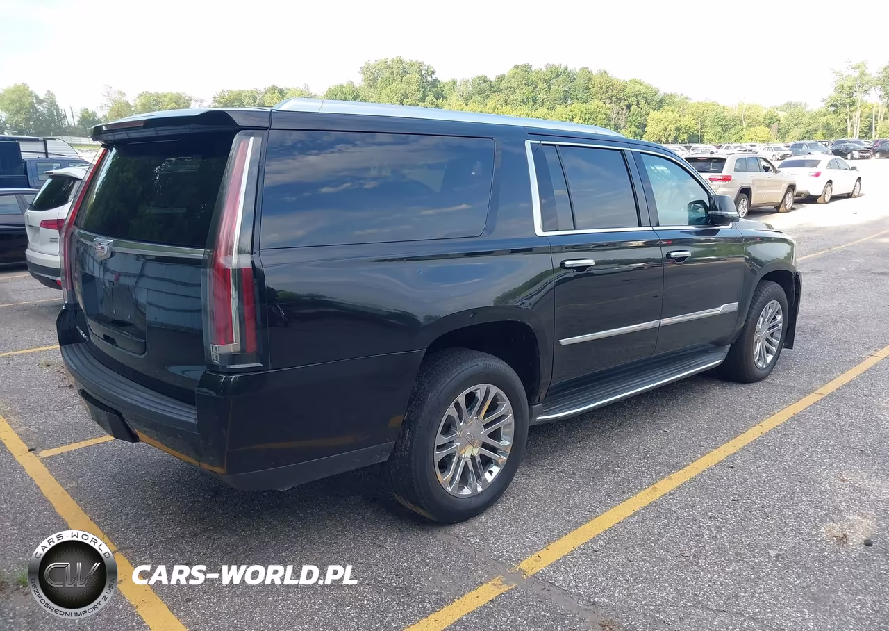2016 Cadillac Escalade Esv Standard VIN:1GYS4GKJ0GR101602 - 4