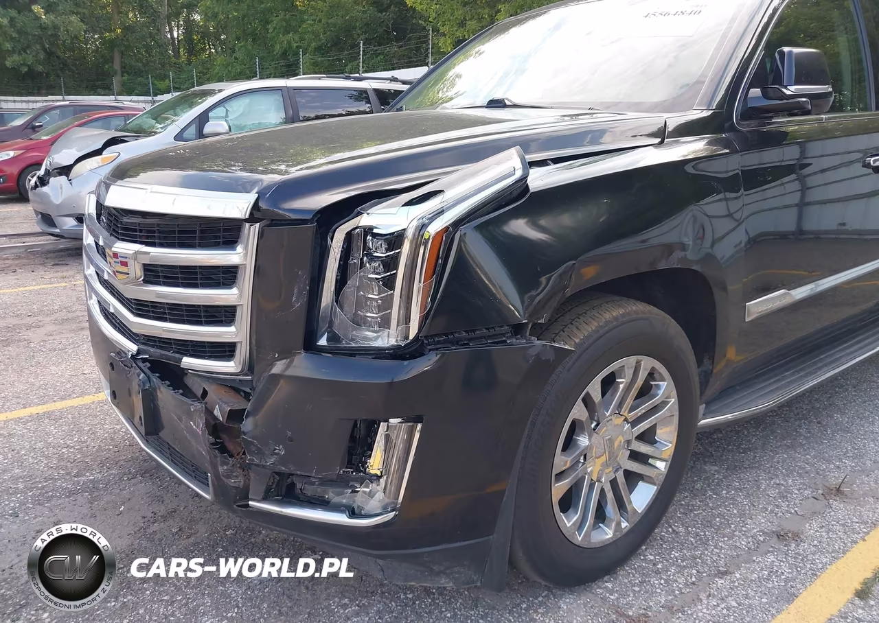 2016 Cadillac Escalade Esv Standard VIN:1GYS4GKJ0GR101602 - 6