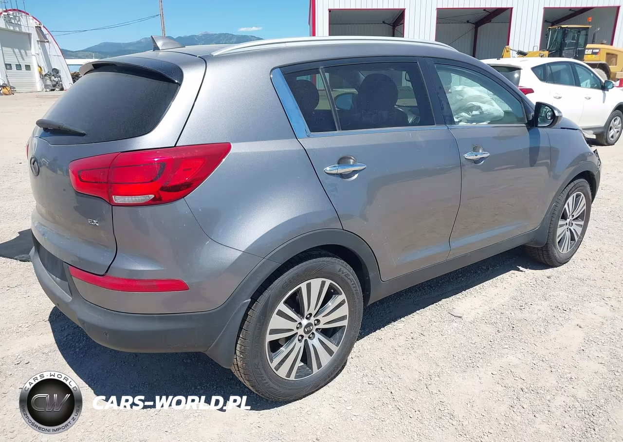 2016 Kia Sportage Ex VIN:KNDPC3AC9G7850713 - 4