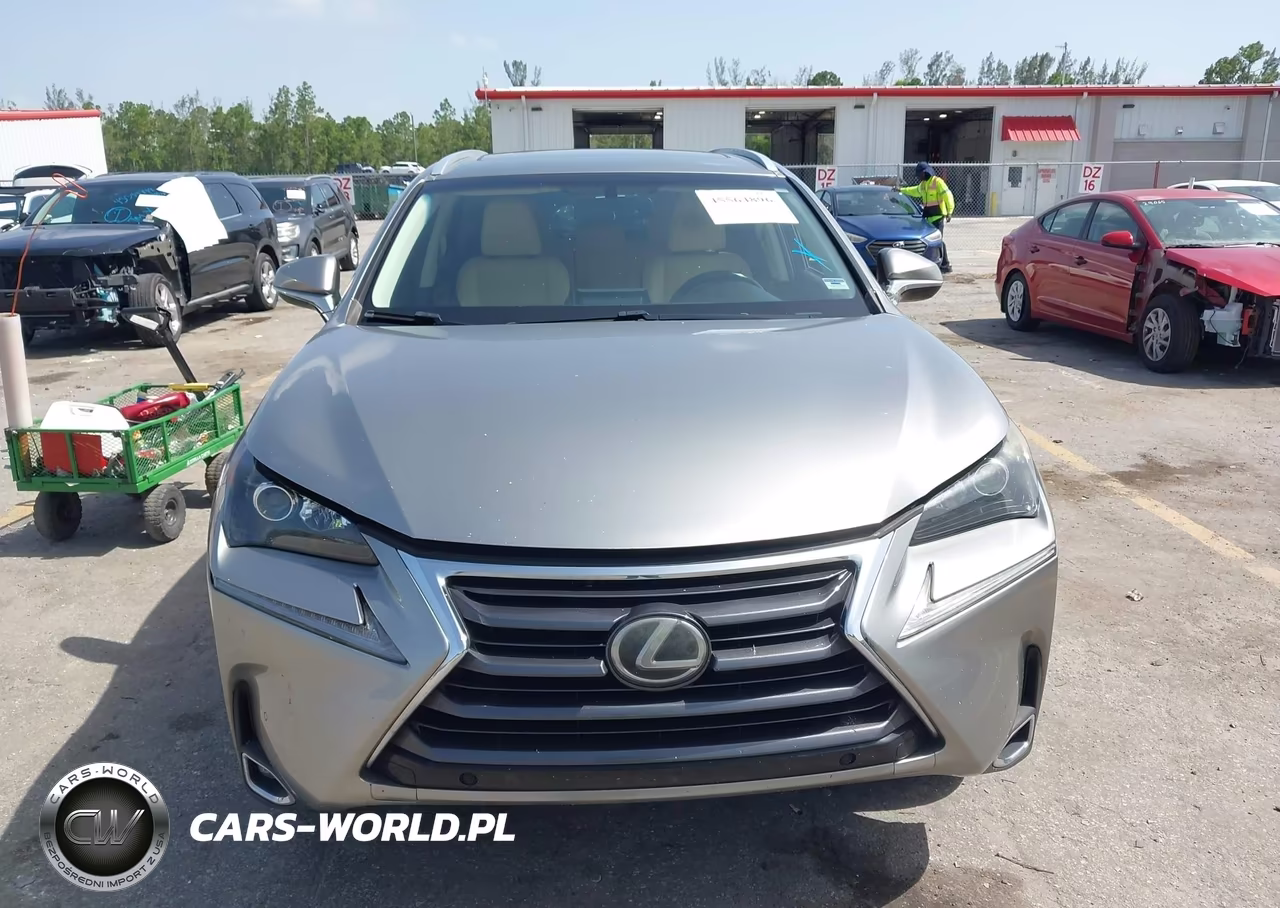 2016 Lexus Nx 200T VIN:JTJYARBZ7G2047392 - 13