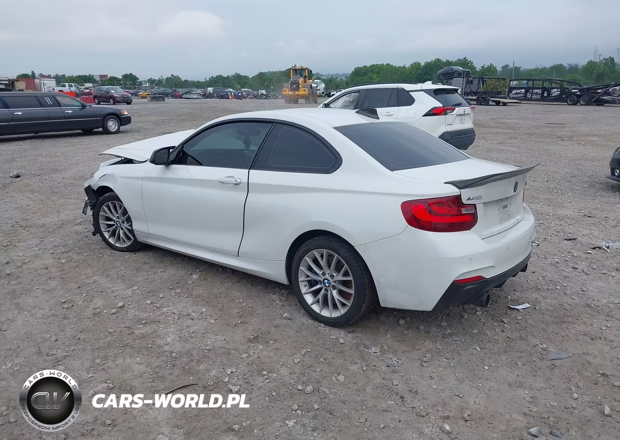 2016 BMW M235I VIN:WBA1J7C56GV359879 - 3