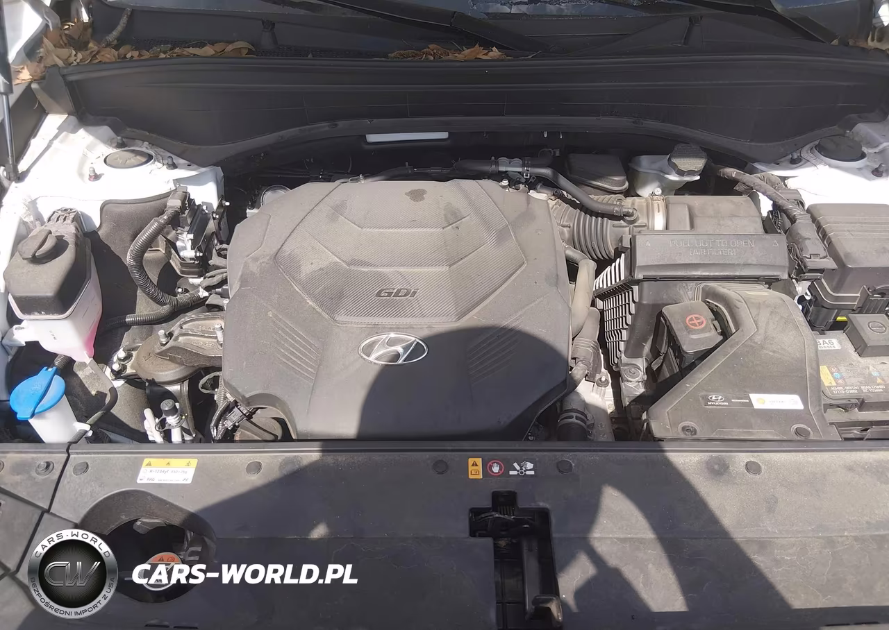 2025 Hyundai Palisade Xrt VIN:KM8R34GE2SU836990 - 10