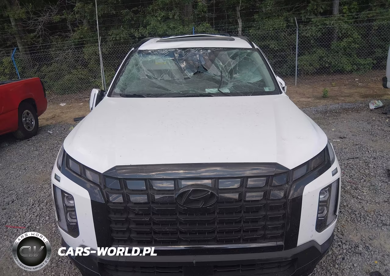 2025 Hyundai Palisade Xrt VIN:KM8R34GE2SU836990 - 12