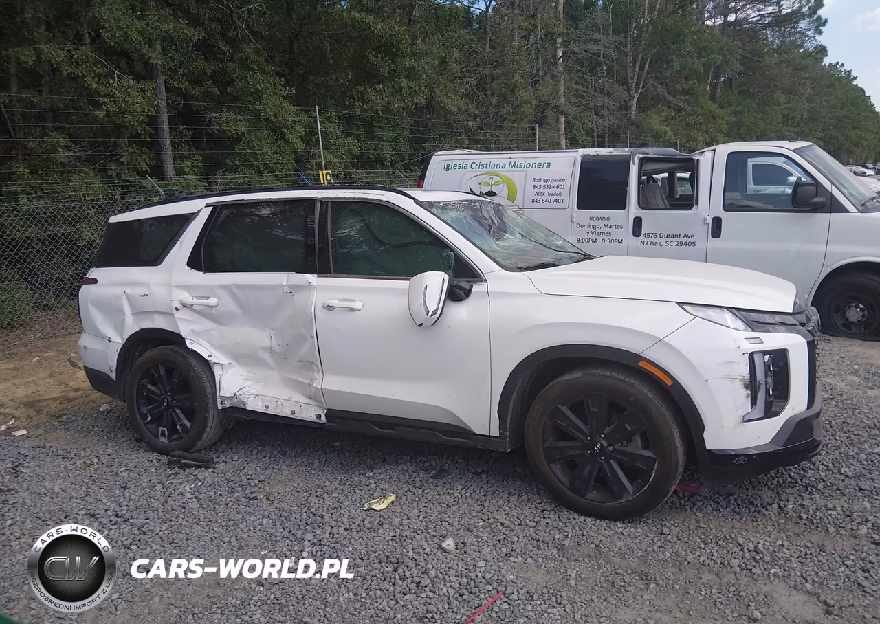 2025 Hyundai Palisade Xrt VIN:KM8R34GE2SU836990 - 13