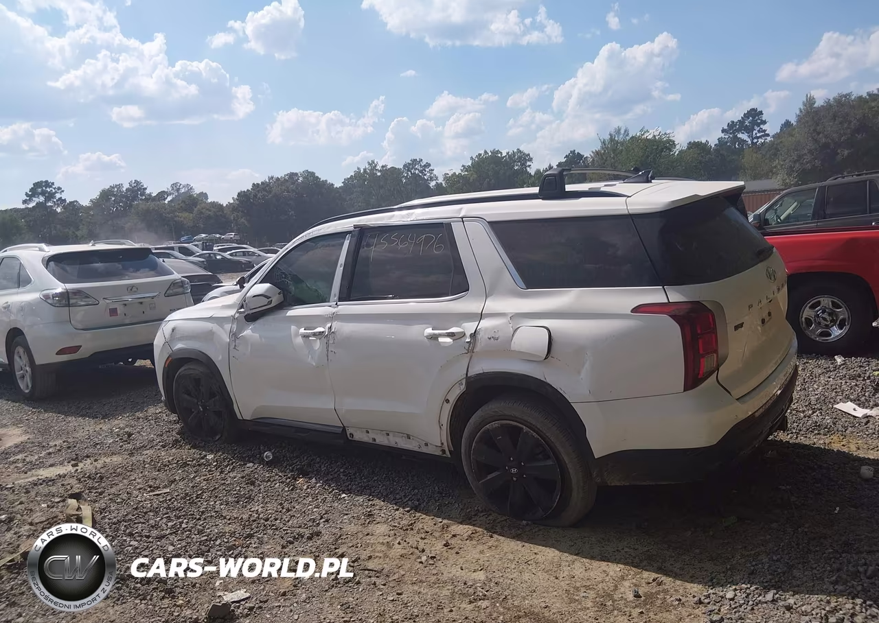 2025 Hyundai Palisade Xrt VIN:KM8R34GE2SU836990 - 14
