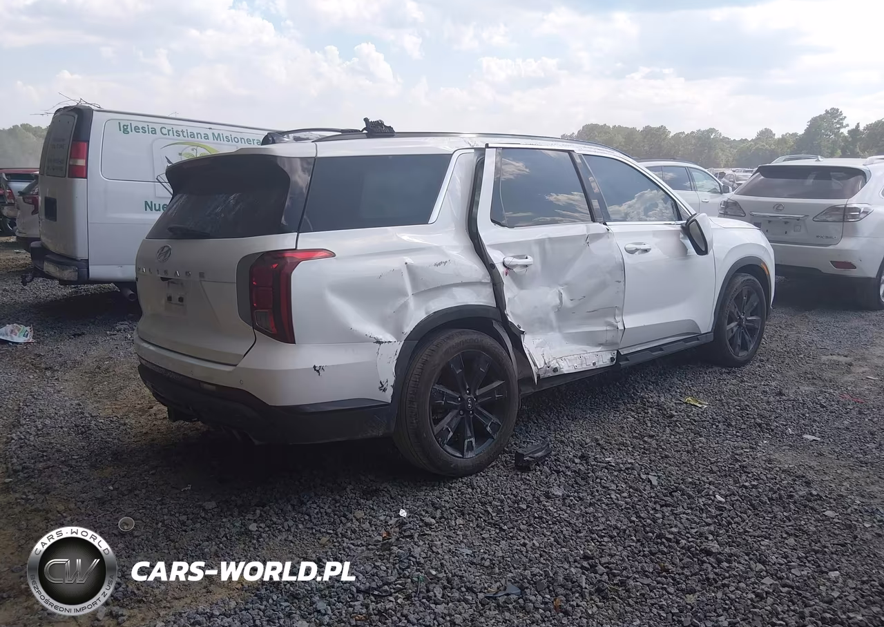 2025 Hyundai Palisade Xrt VIN:KM8R34GE2SU836990 - 4