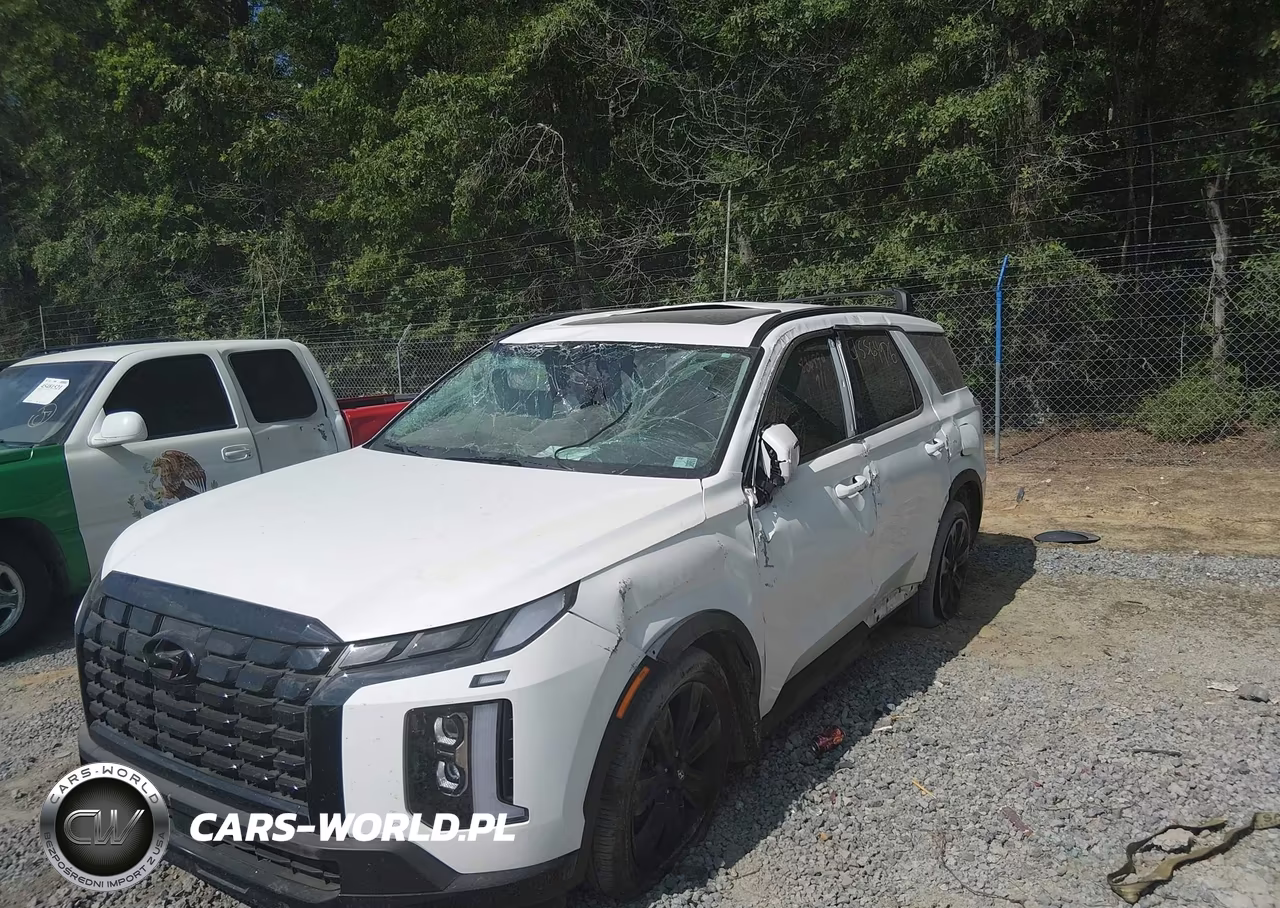 2025 Hyundai Palisade Xrt VIN:KM8R34GE2SU836990 - 6