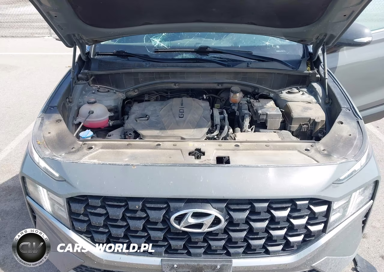 2023 Hyundai Santa Fe Sel VIN:5NMS2DAJ6PH639981 - 10