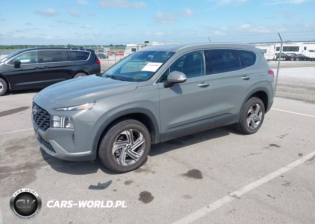 2023 Hyundai Santa Fe Sel VIN:5NMS2DAJ6PH639981 - 2