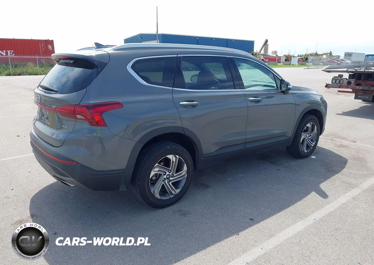 2023 Hyundai Santa Fe Sel VIN:5NMS2DAJ6PH639981 - 4